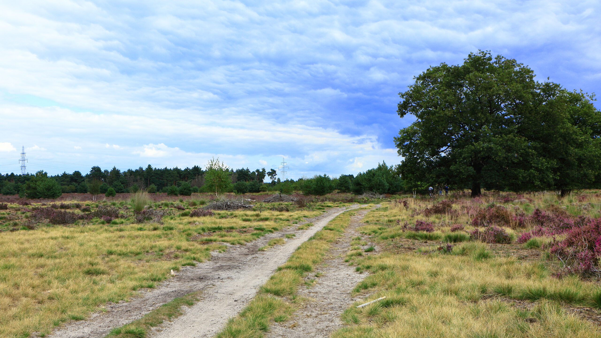 Het thuiswerkadvies vervalt. Spannend!