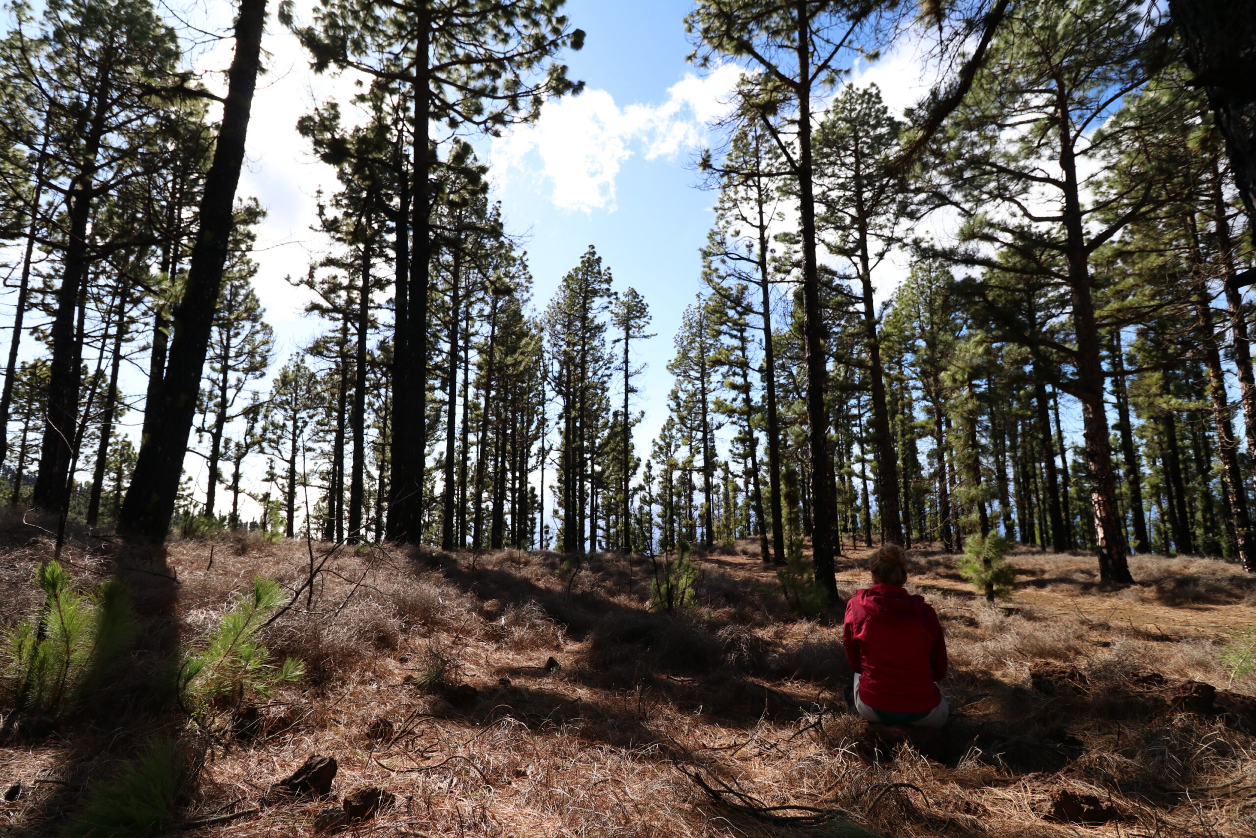 “Hé Google: heb ik een burn-out?”